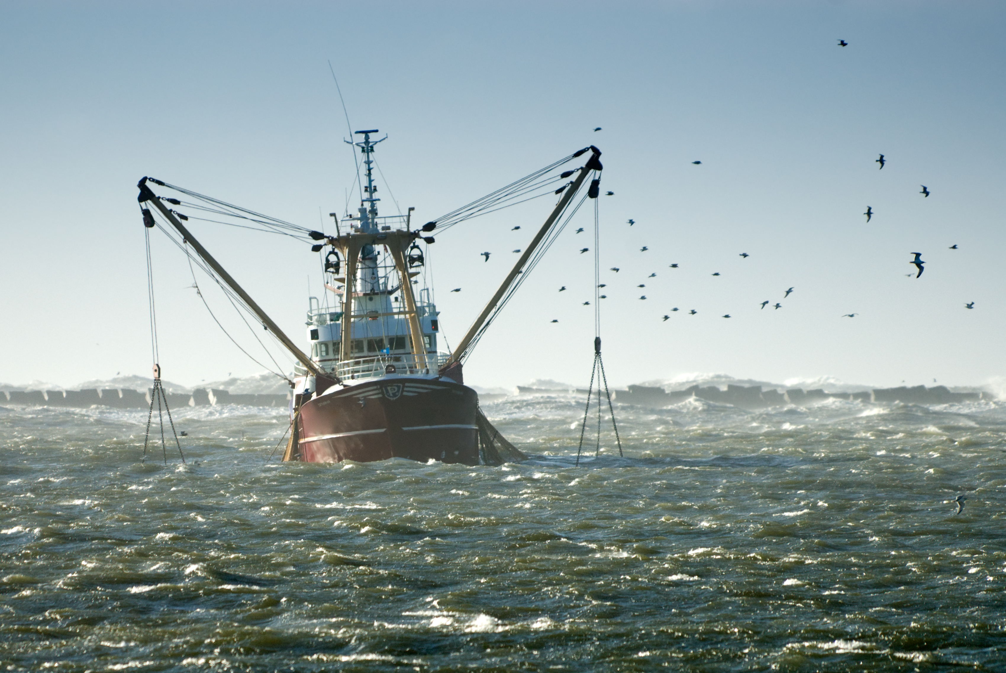 Fishing vessel at sea with live tracking